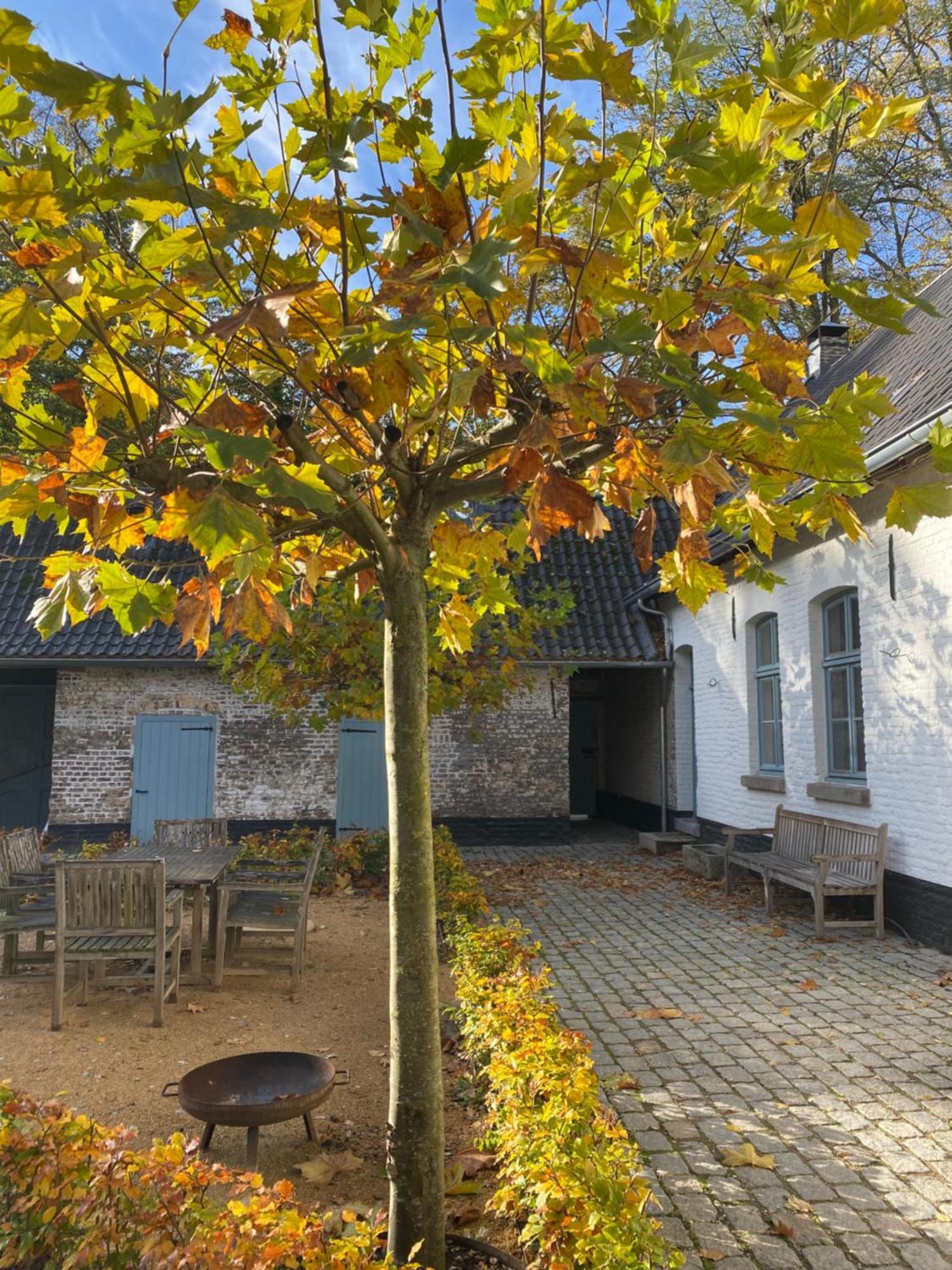 Cottage Landgoed Frymerson Sint Odilienberg Bagian luar foto