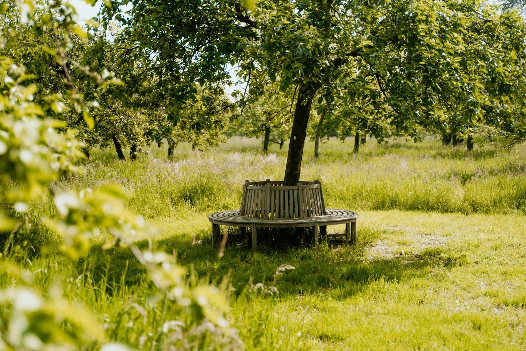 Cottage Landgoed Frymerson Sint Odilienberg Bagian luar foto
